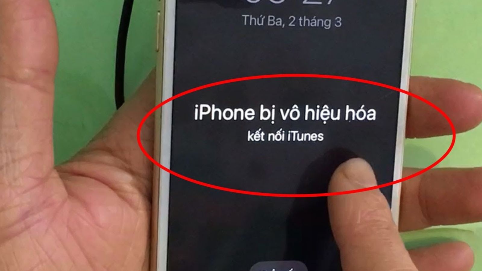 iphone bị vô hiệu hóa kết nối iTunes